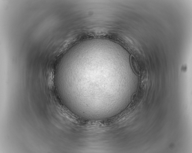 X0000093590866200710291120