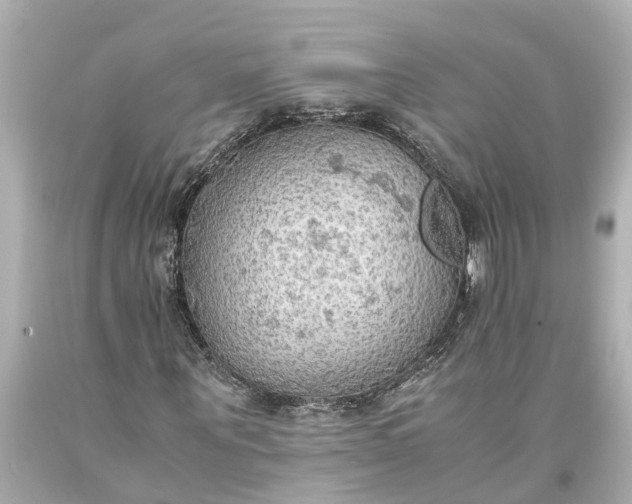 X0000093590867200710291120