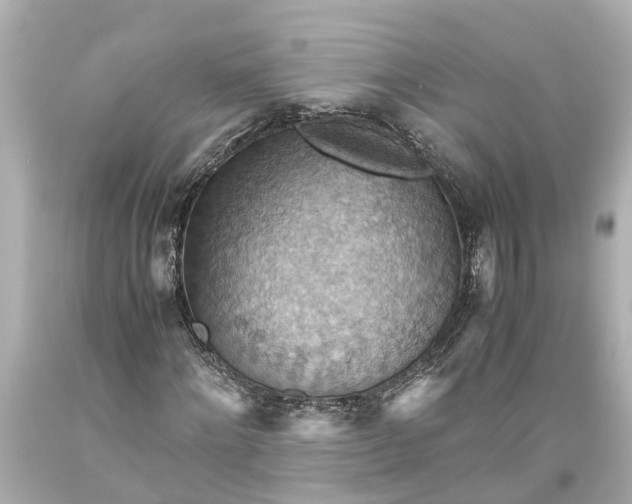 X0000093590868200710291120