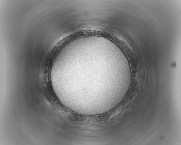 X0000093590870200710291120