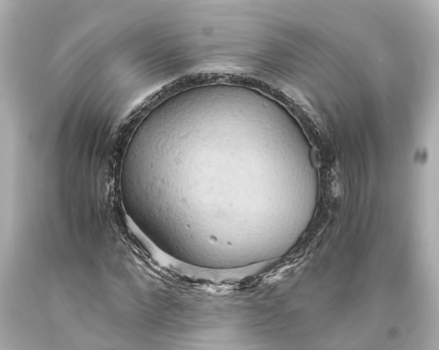 X0000093590872200710291120