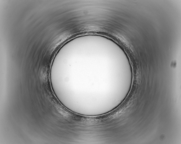 X0000093590873200710291120