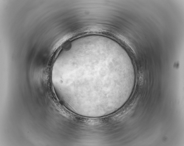 X0000093590874200710291120