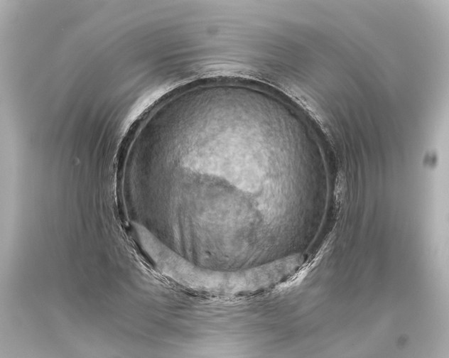 X0000093590877200710291120