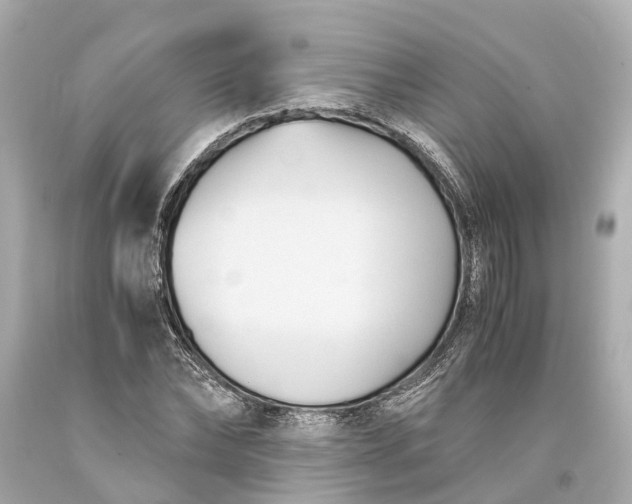 X0000093590878200710291120