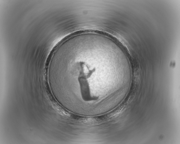 X0000093590879200710291120