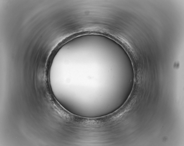 X0000093590880200710291120