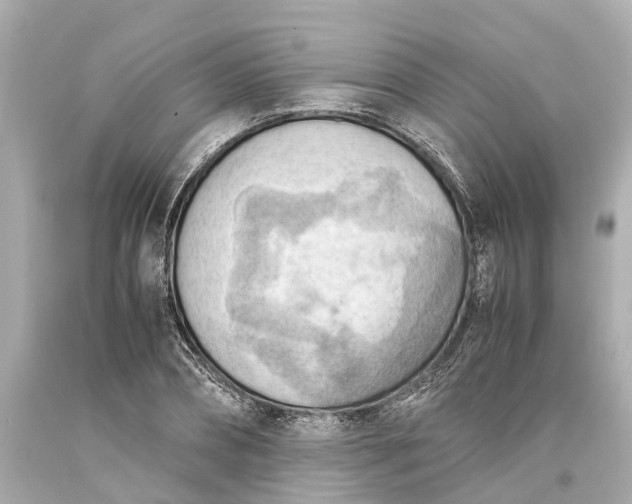 X0000093590882200710291120