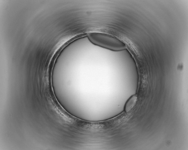 X0000093590884200710291120