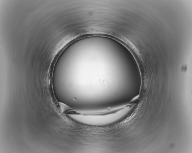 X0000093590885200710291120
