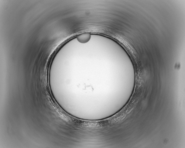 X0000093590886200710291120