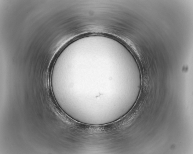 X0000093590887200710291120