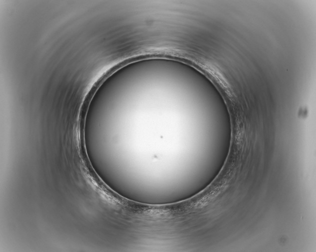X0000093590888200710291120