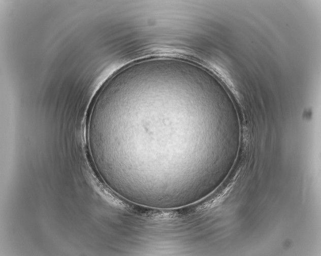 X0000093590891200710291120