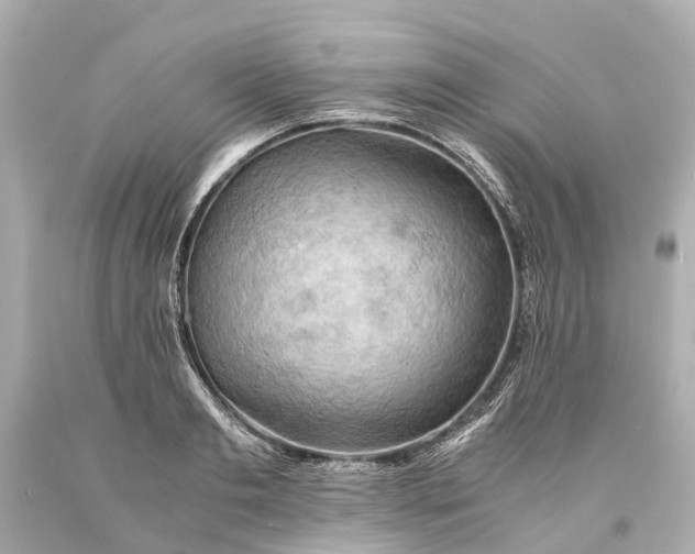 X0000093590893200710291120
