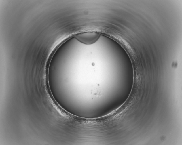X0000093590894200710291120