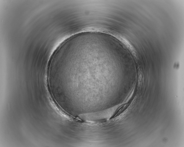 X0000093590896200710291120