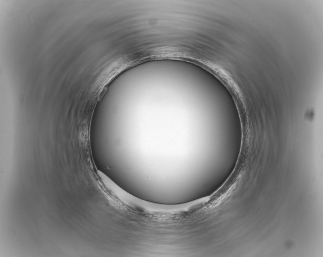 X0000093590897200710291120