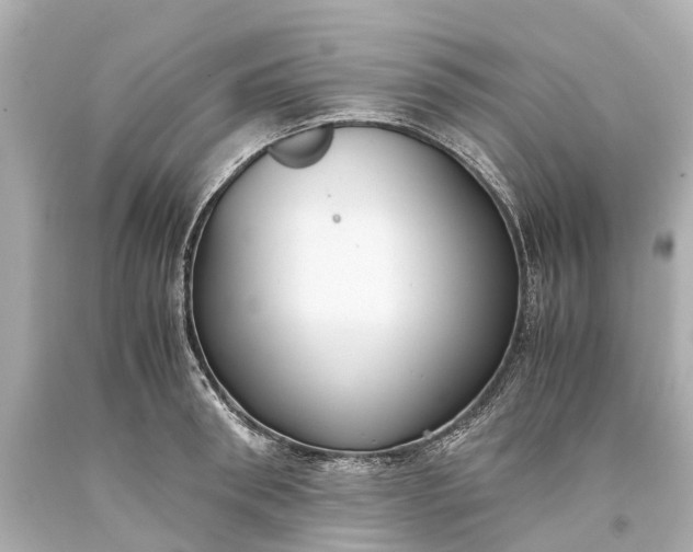 X0000093590898200710291120