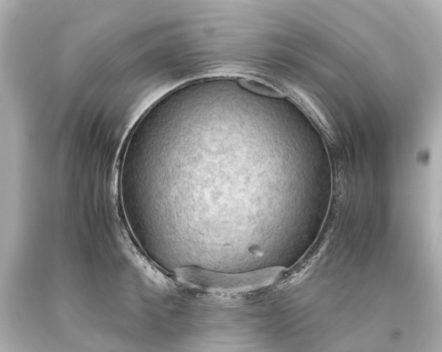 X0000093590900200710291120
