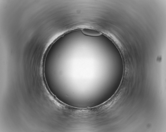 X0000093590902200710291120