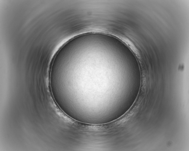 X0000093590904200710291120