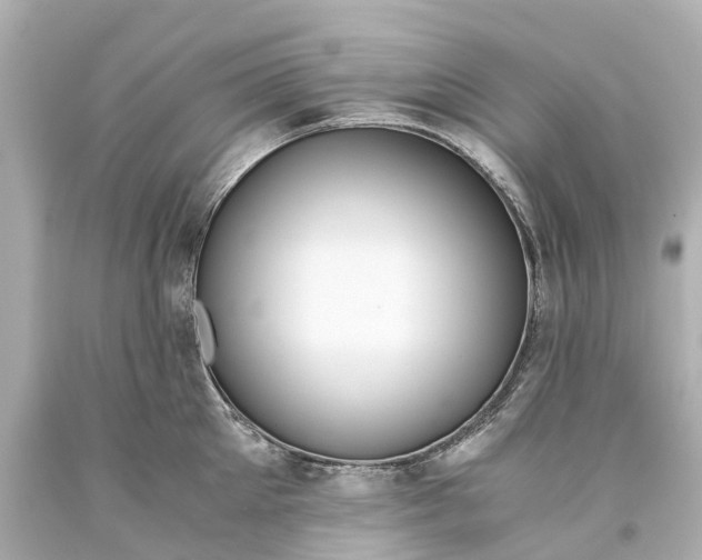 X0000093590905200710291120