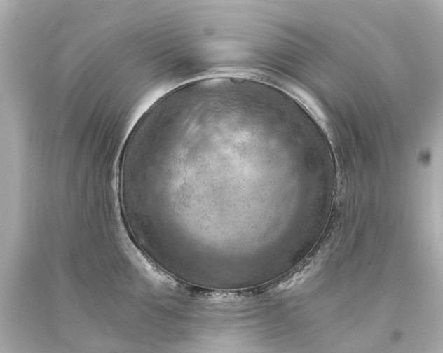 X0000093590907200710291120
