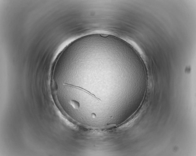 X0000093590910200710291120