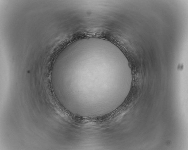 X0000093590913200710291119