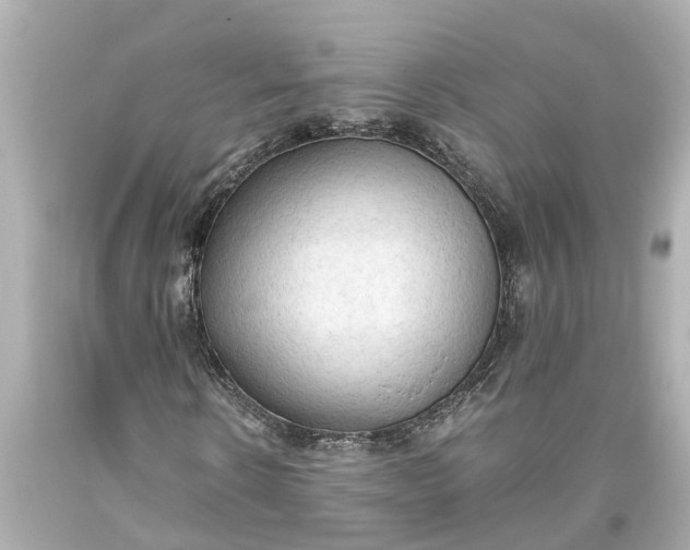 X0000093590914200710291119