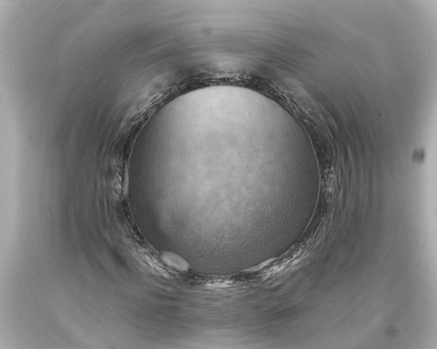 X0000093590916200710291119