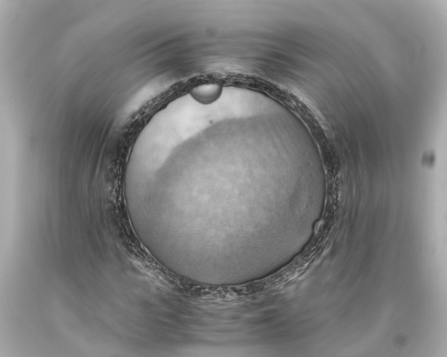 X0000093590919200710291119