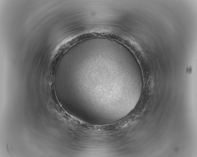 X0000093590920200710291119