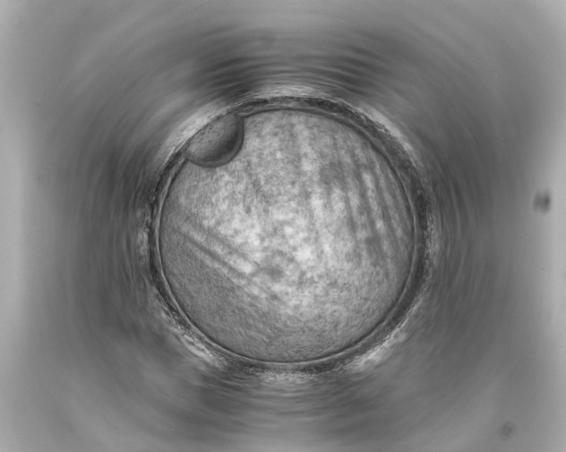 X0000093590921200710291119
