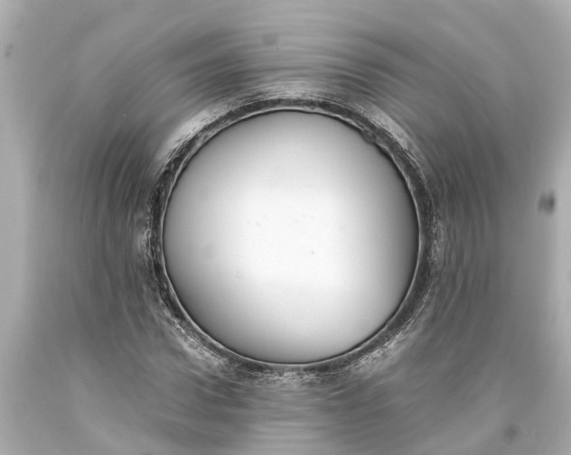 X0000093590922200710291119
