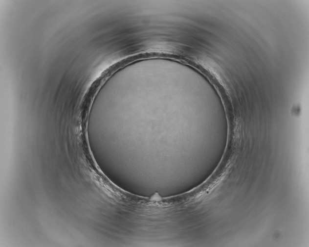 X0000093590923200710291119