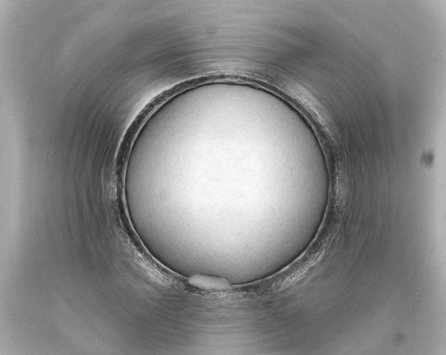 X0000093590924200710291119