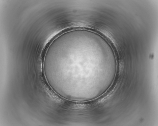 X0000093590925200710291119