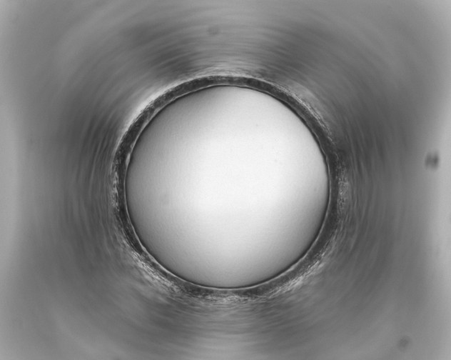 X0000093590926200710291119