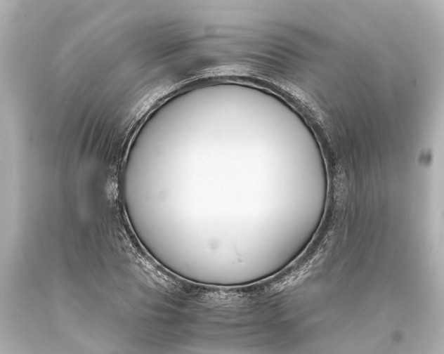 X0000093590929200710291119