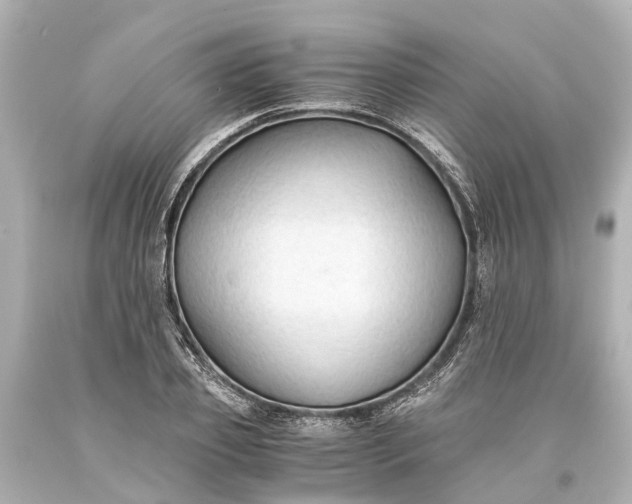 X0000093590933200710291119