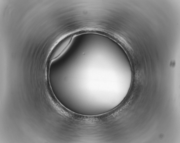 X0000093590934200710291119
