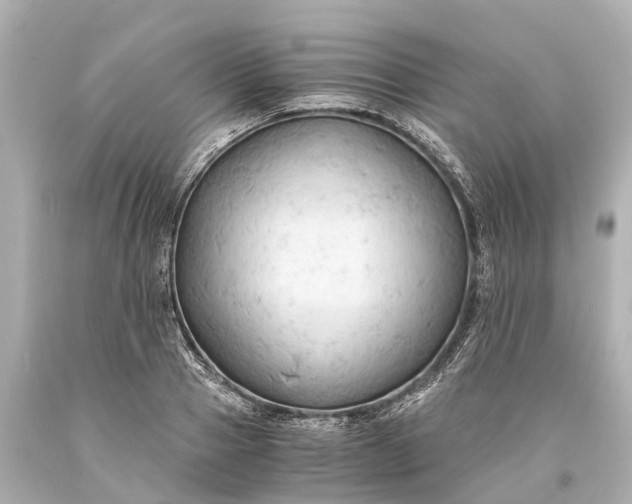 X0000093590937200710291119