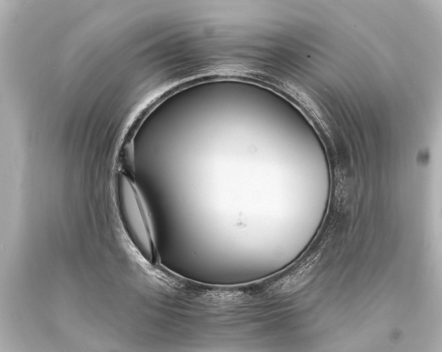 X0000093590939200710291119