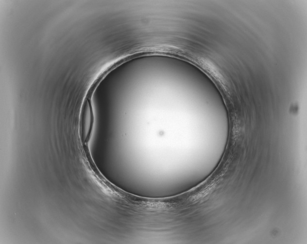X0000093590940200710291119