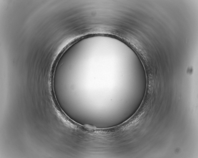 X0000093590942200710291119