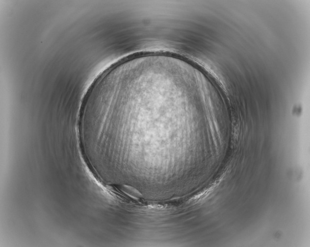 X0000093590943200710291119