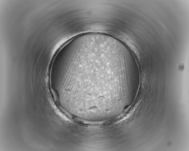 X0000093590944200710291119