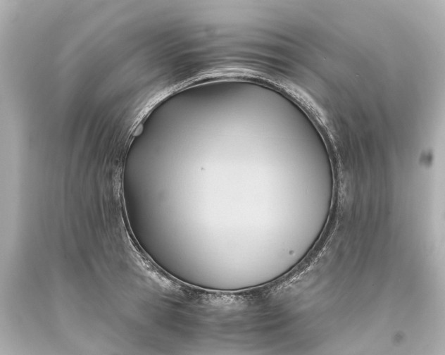 X0000093590945200710291119